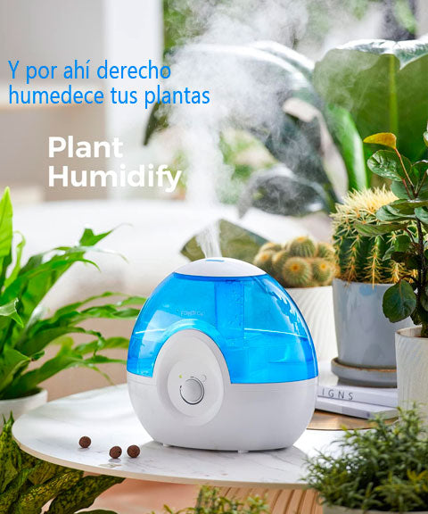 Entre los muchos beneficios que tiene este humidificador de aire es que da humedad a tus plantas